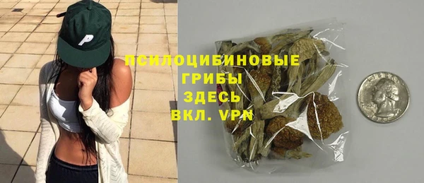 прущие грибы Алексин