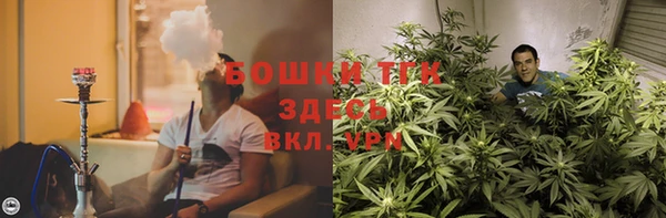 сатива Алексеевка