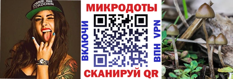 hydra зеркало  Приволжск  Галлюциногенные грибы GOLDEN TEACHER 